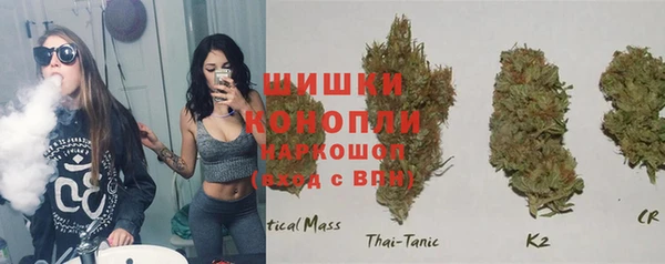 ГАЛЛЮЦИНОГЕННЫЕ ГРИБЫ Губаха