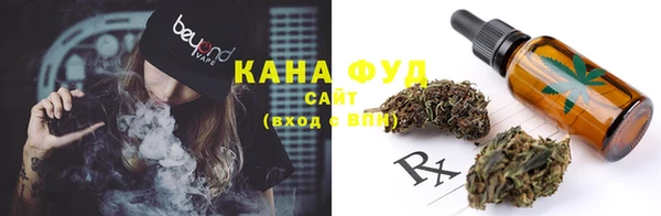дмт Нягань