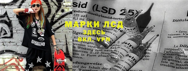 тгк Грязовец