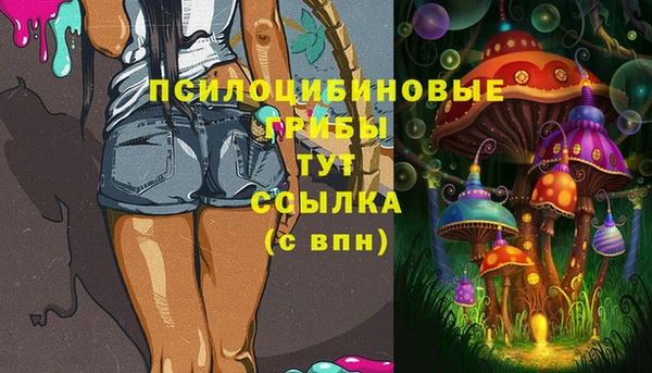 дмт Нягань